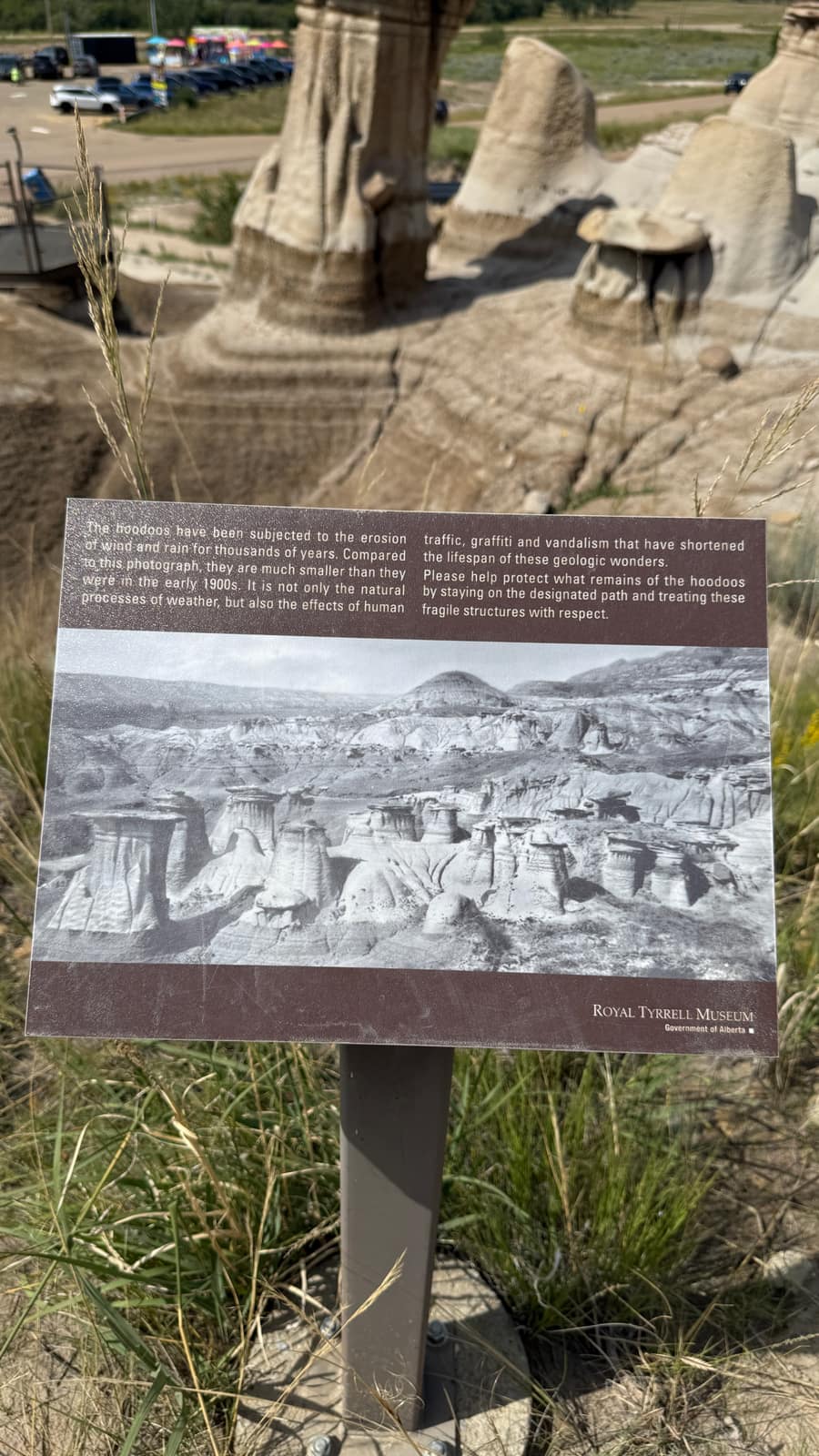 Canadian Badlands landscape near Willow Creek Hoodoos
